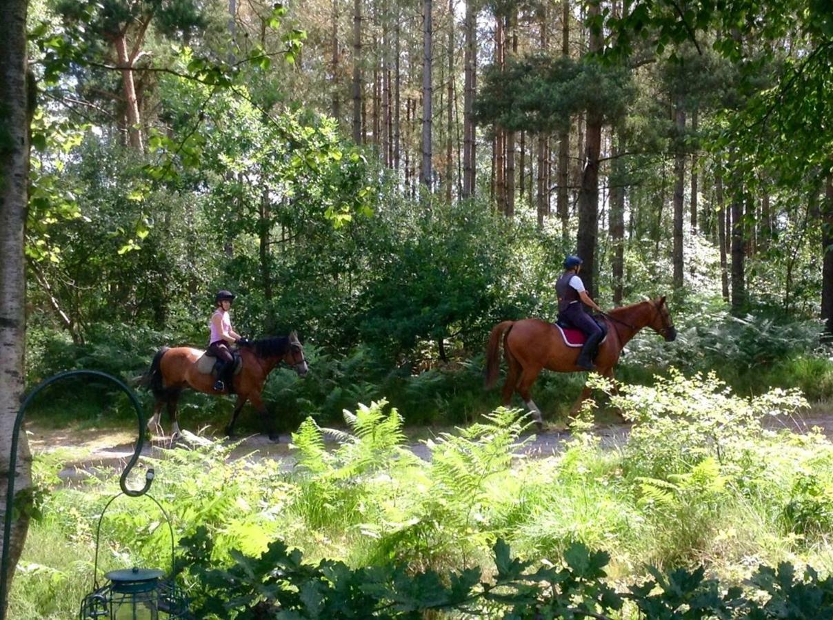 Forest View At Oakdene Forest Park - Leisure Passes Included! Ringwood Luaran gambar